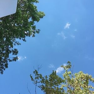 Meet your Posher, Jane